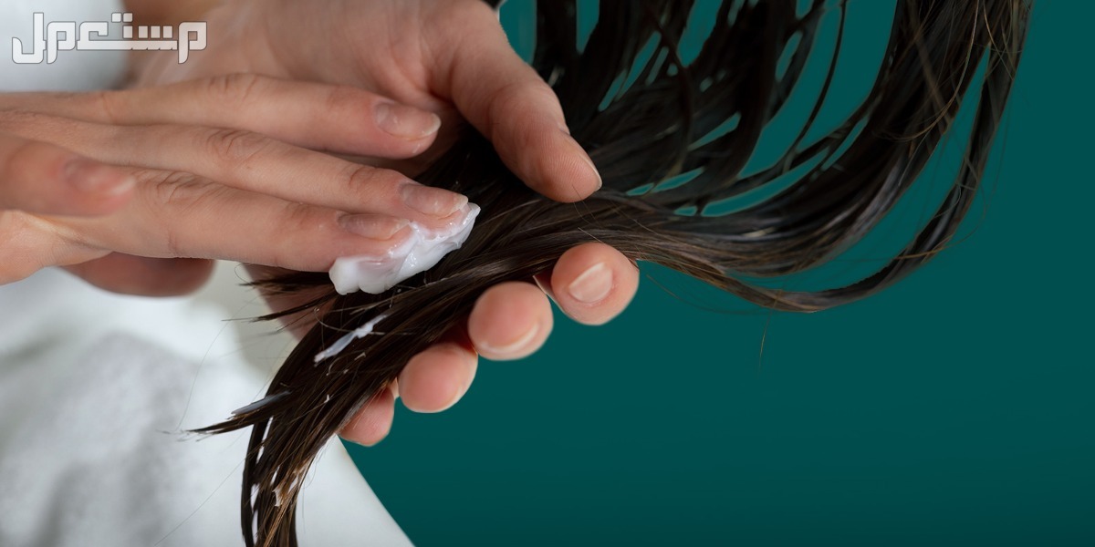 10 من افضل بديل الزيت للشعر الجاف والتالف أفضل بديل زيت للشعر الجاف