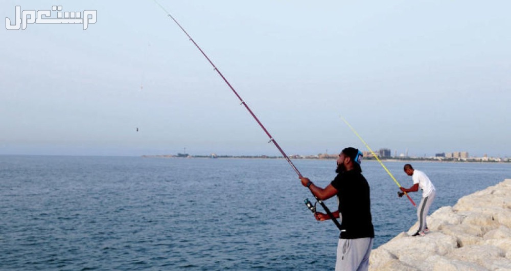 دليلك الشامل حول كورنيش جدة الجديد صيد السمك