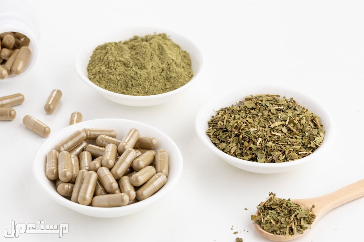 كل ما تريد معرفته عن عشبة الجيمنيما عشبة الجيمنيما