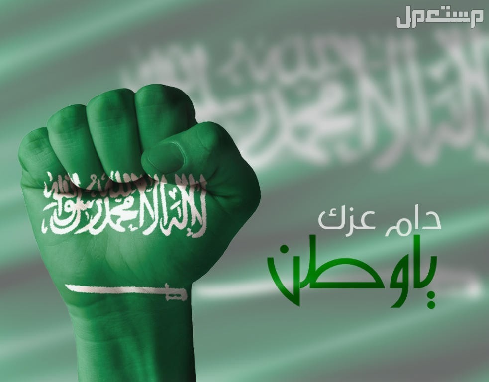 أجمل ما قيل عن اليوم الوطني السعودي 2024 (صور) عبارات اليوم الوطني السعودي 2024