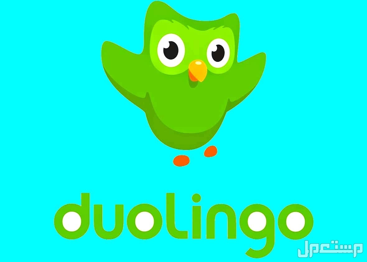 أفضل 5 تطبيقات أندرويد 2024.. برامج مجانية لهاتف android أفضل تطبيق لتعلم اللغات Duolingo