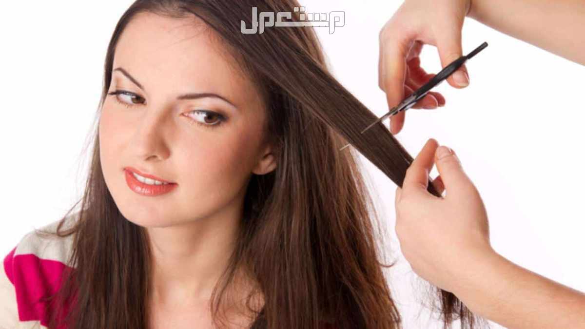 أفضل وقت لقص الشعر في شهر سبتمبر 2024 أيام قص الشعر للتكثيف