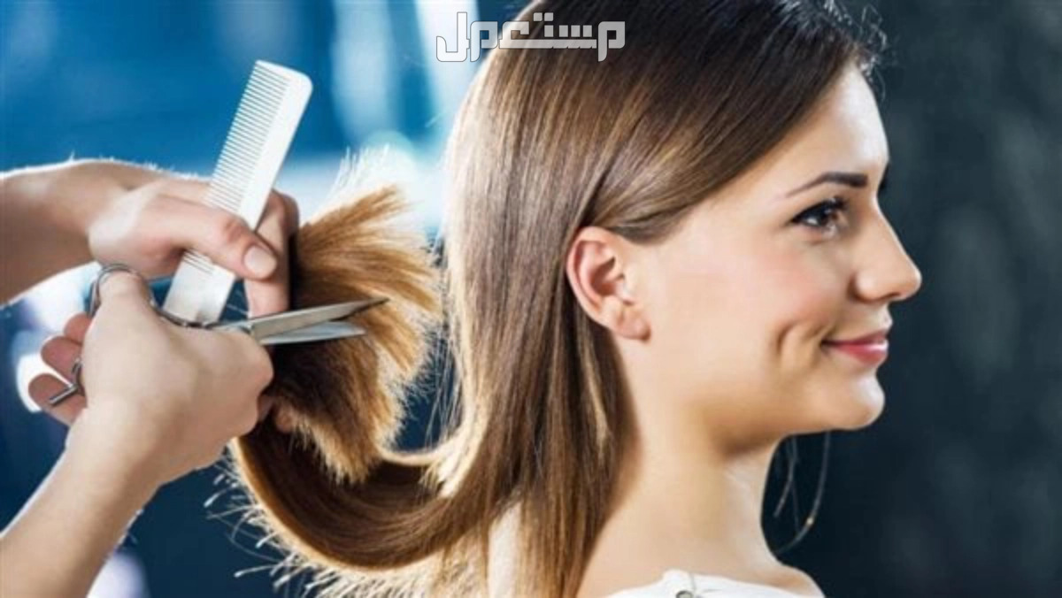 أفضل وقت لقص الشعر في شهر سبتمبر 2024 اختيار قصة الشعر حسب نوعه