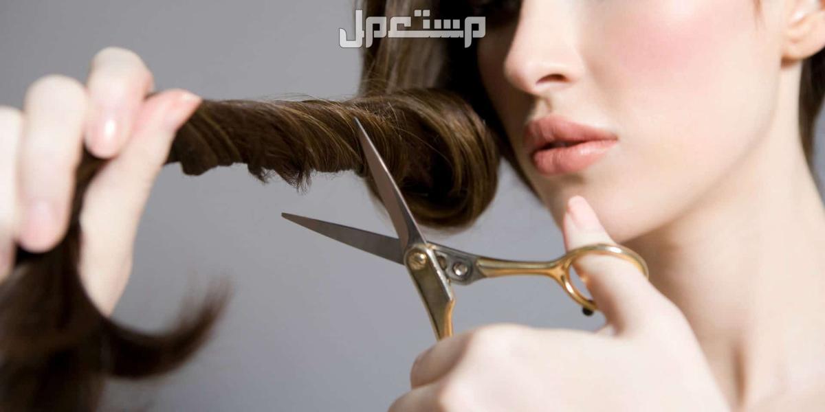 أفضل وقت لقص الشعر في شهر سبتمبر 2024 الشعر الكثيف