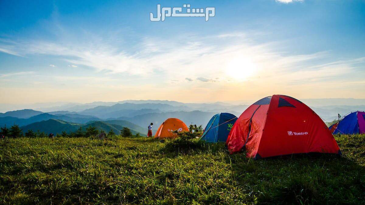 ما هي ضوابط وشروط التخييم؟.. وهذه طريقة إصدار التصريح التخييم في السعودية