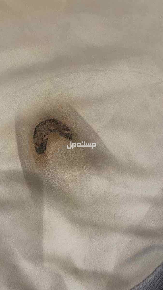 كنب للبيع