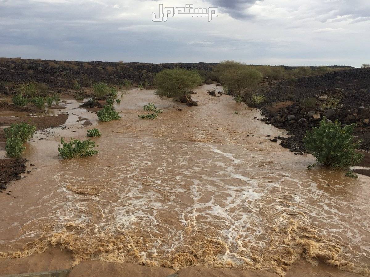 ما هو تفسير حلم السيل بدون مطر في المنام وأهم دلالاته؟ تفسير حلم السيل بدون مطر