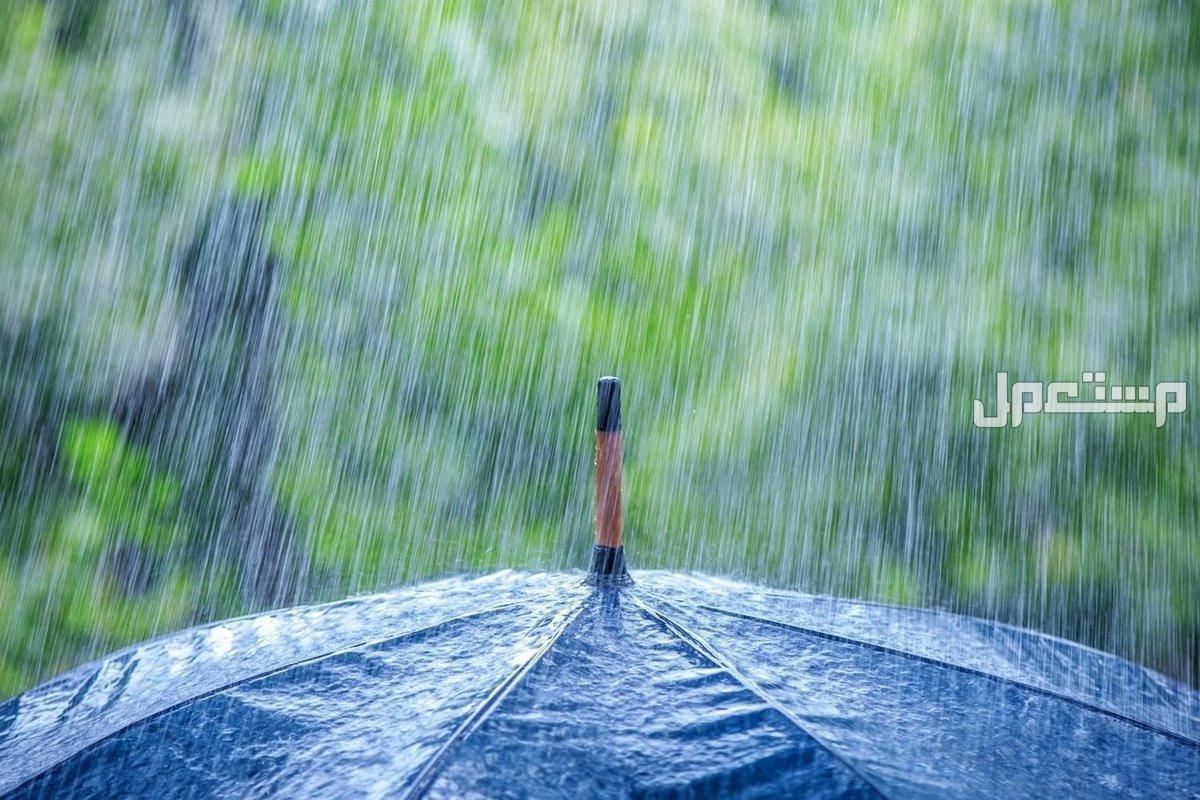 ما هو تفسير حلم السيل بدون مطر في المنام وأهم دلالاته؟ تفسير حلم