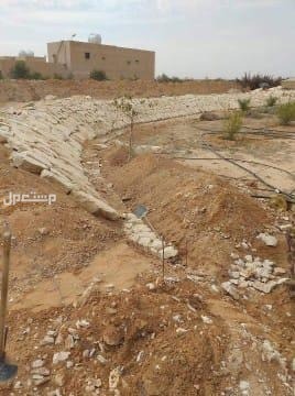 معلم حجر باكستاني