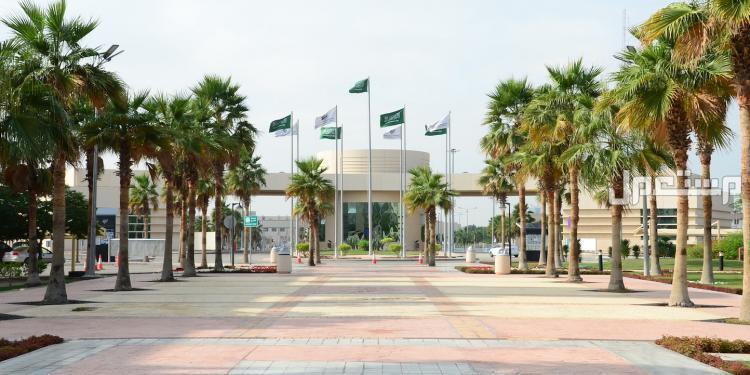 افضل 10 جامعات سعودية بالترتيب في 2025 جامعة الإمام عبدالرحمن بن فيصل