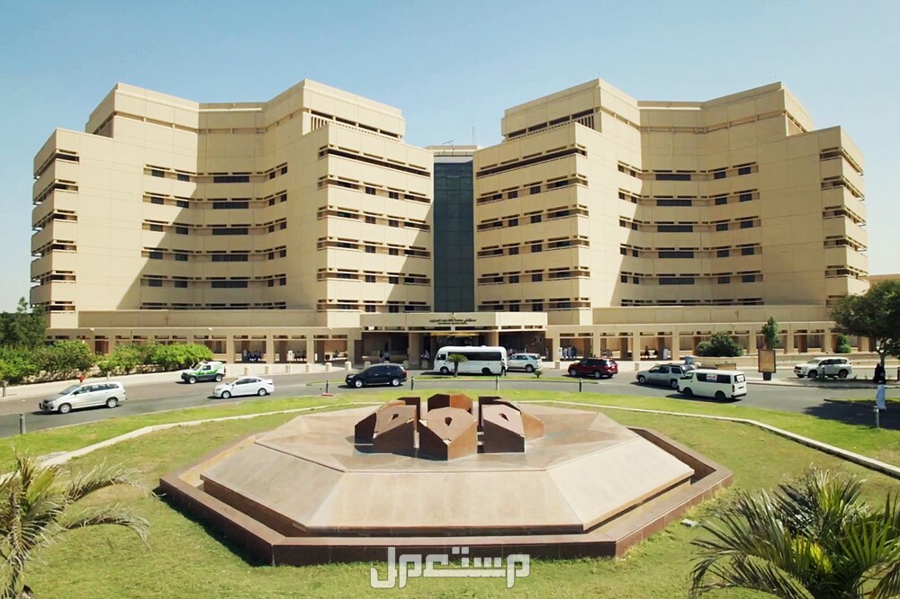 افضل 10 جامعات سعودية بالترتيب في 2025 جامعة الملك عبدالعزيز