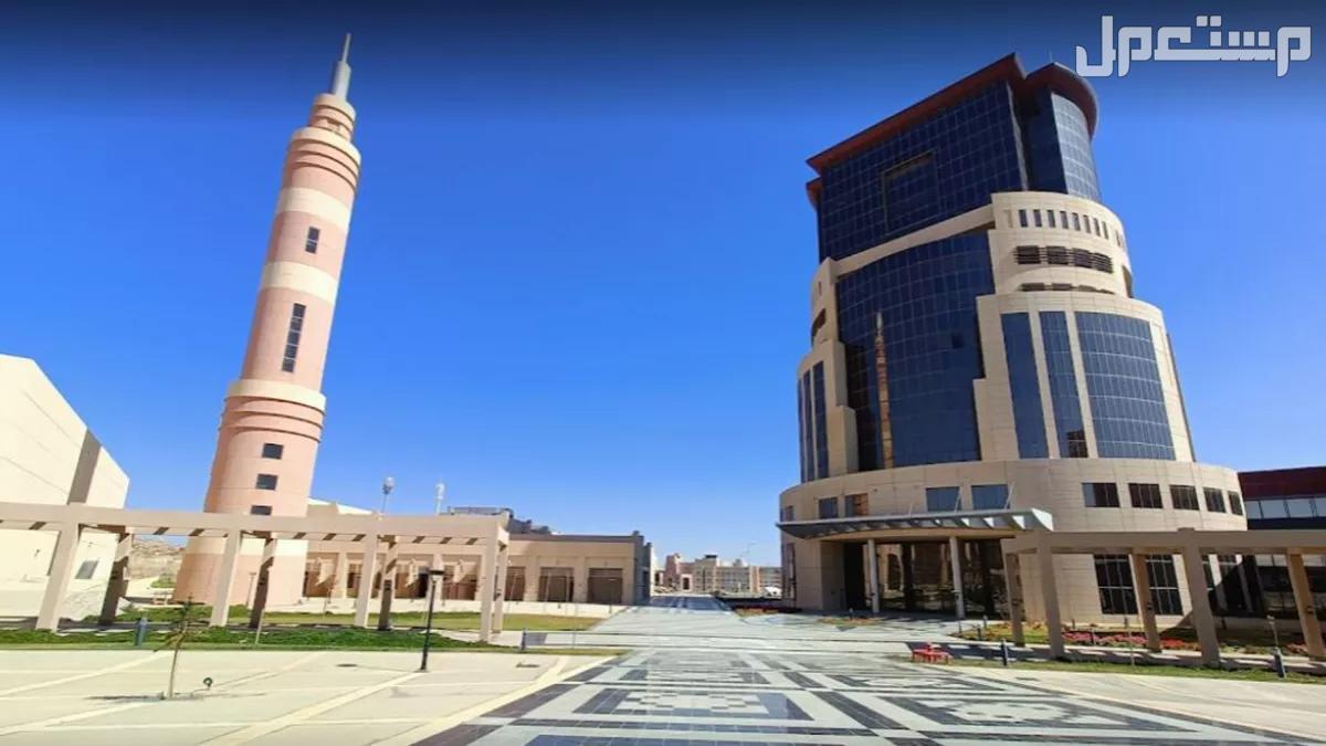 افضل 10 جامعات سعودية بالترتيب في 2025 جامعة الملك خالد