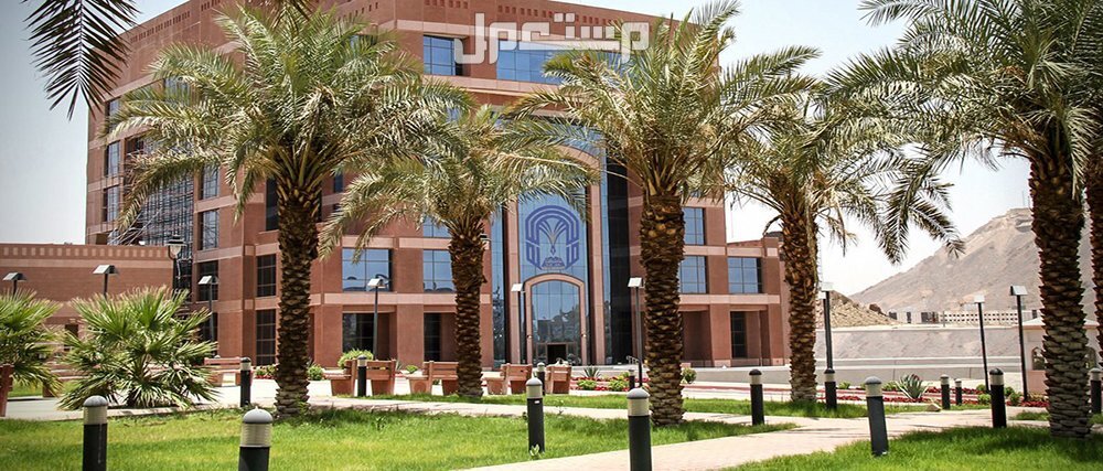 افضل 10 جامعات سعودية بالترتيب في 2025 جامعة طيبة
