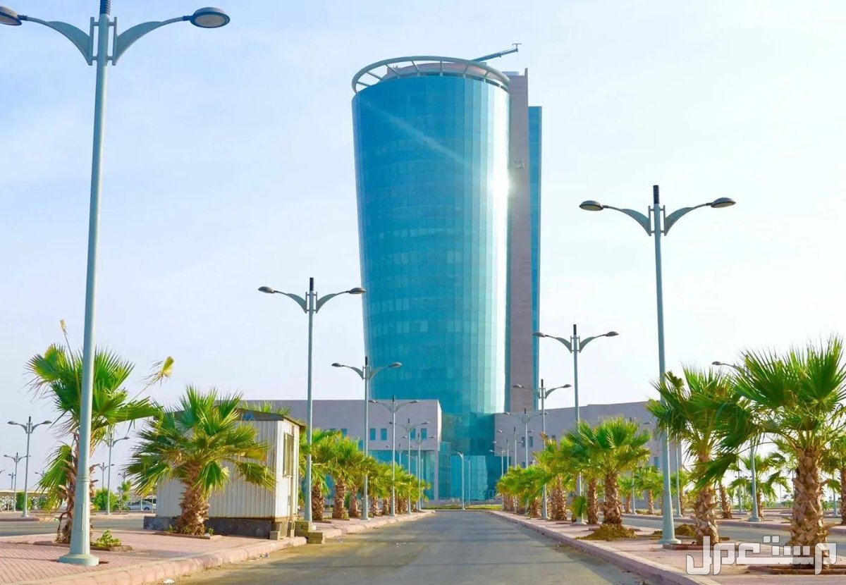 افضل 10 جامعات سعودية بالترتيب في 2025 جامعة جازان