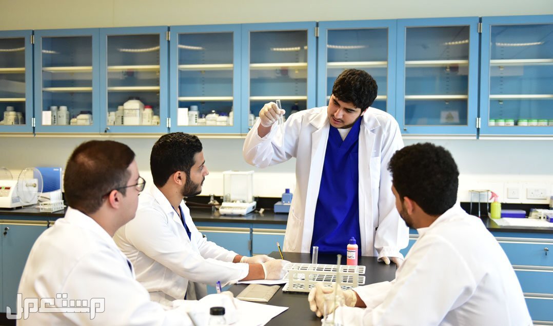 أفضل طريق النجاح في الدراسة الجامعية طلاب سعوديون