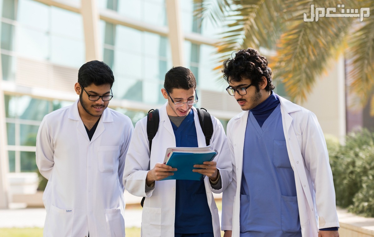أفضل طريق النجاح في الدراسة الجامعية طلاب في كلية الطب