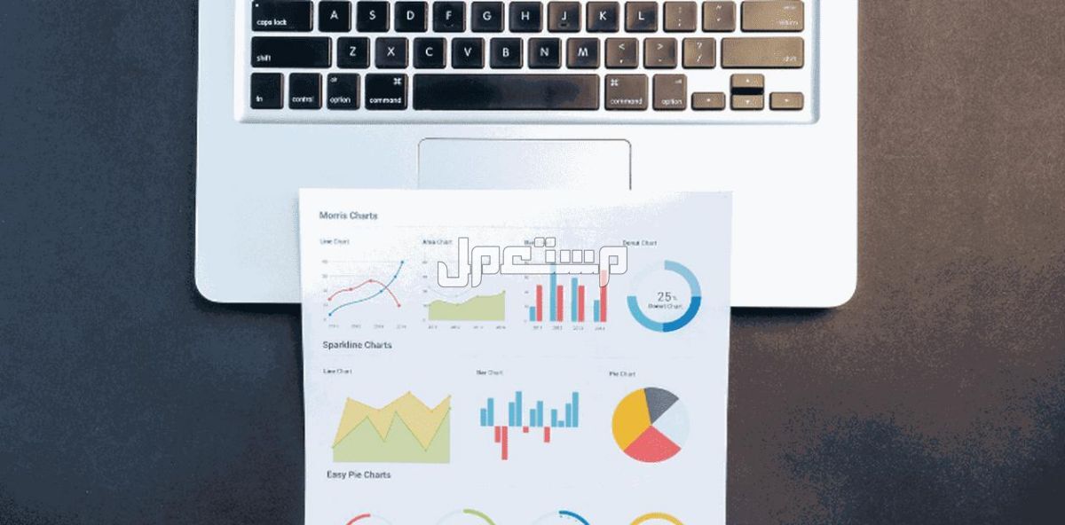 استشارة عمل لبدء مشروع إلكتروني ناجح