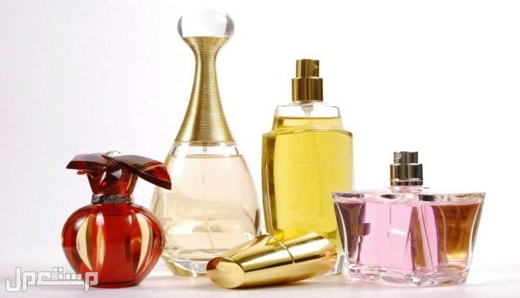 أسعار العطور الفرنسية 2024 وأفضل الأنواع عطور الفرنسية نسائية