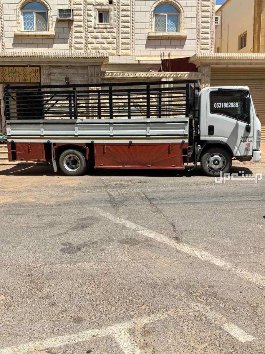 ديانا شبك نقل