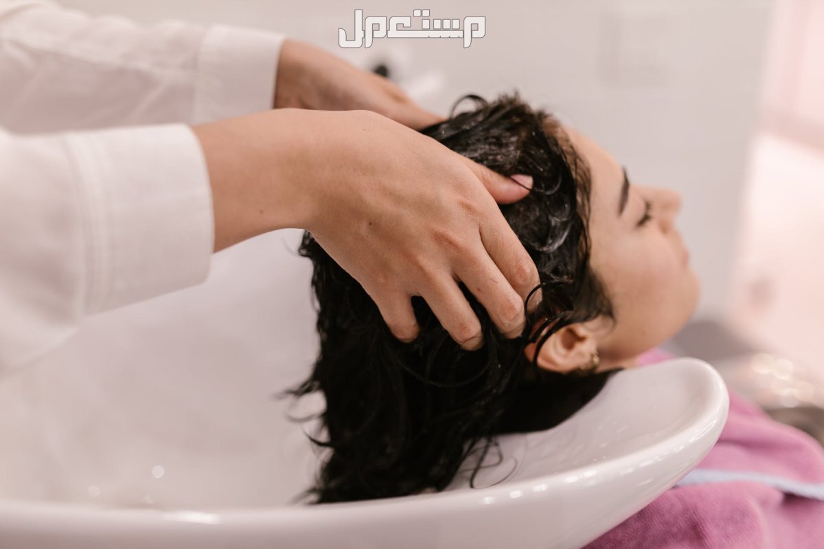 6 أنواع شامبو طبيعي للشعر وأبرز الخصائص والأسعار غسل الشعر بشامبو طبيعي للشعر