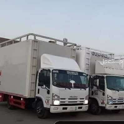 نقل عفش بالمدينة المنورة