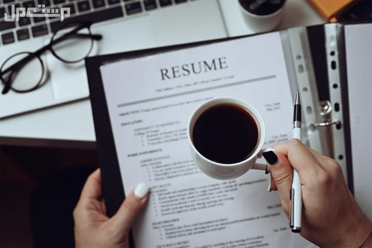 طريقة عمل سيرة ذاتية في مايكروسوفت بالخطوات أفضل قالب Résumé من مايكروسوفت