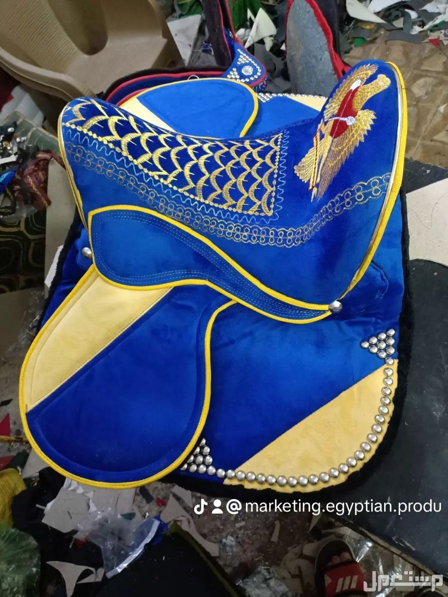 اكسسوارات خيول في الهرم كامل بسعر 16 ألف جنيه مصري