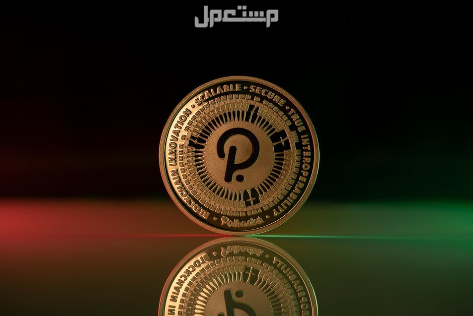 ما هي العملات الرقمية المتوقع ارتفاعها في 2025؟ بولكادوت