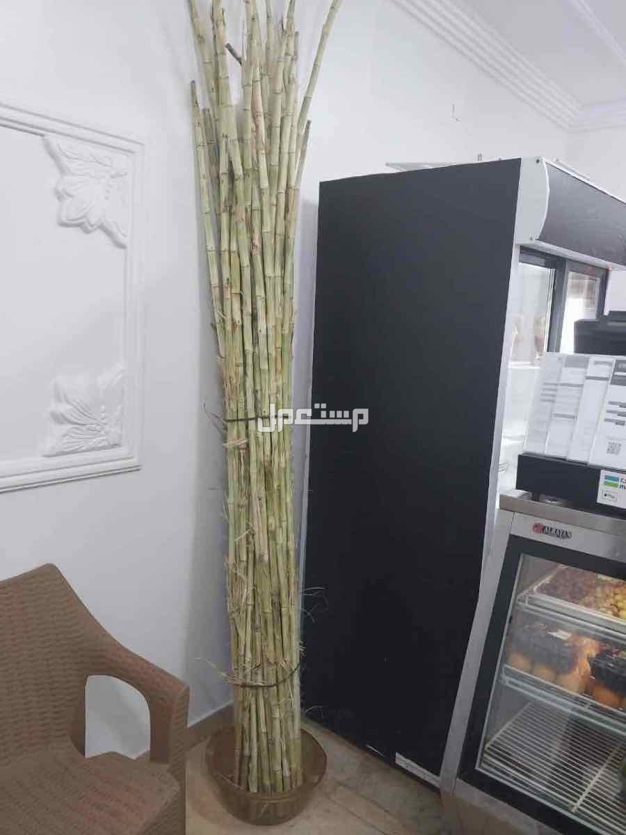 اجهزه ومستلزمات محل عصائر للبيع