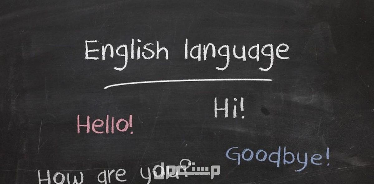 تدريس اللغة الانكليزية لمختلف المستويات من الصفر