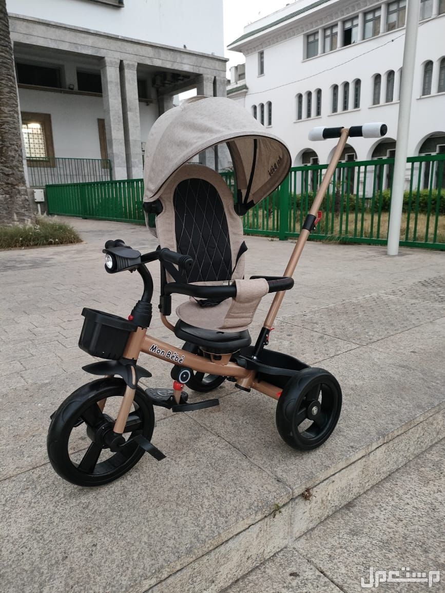 Tricycle harely