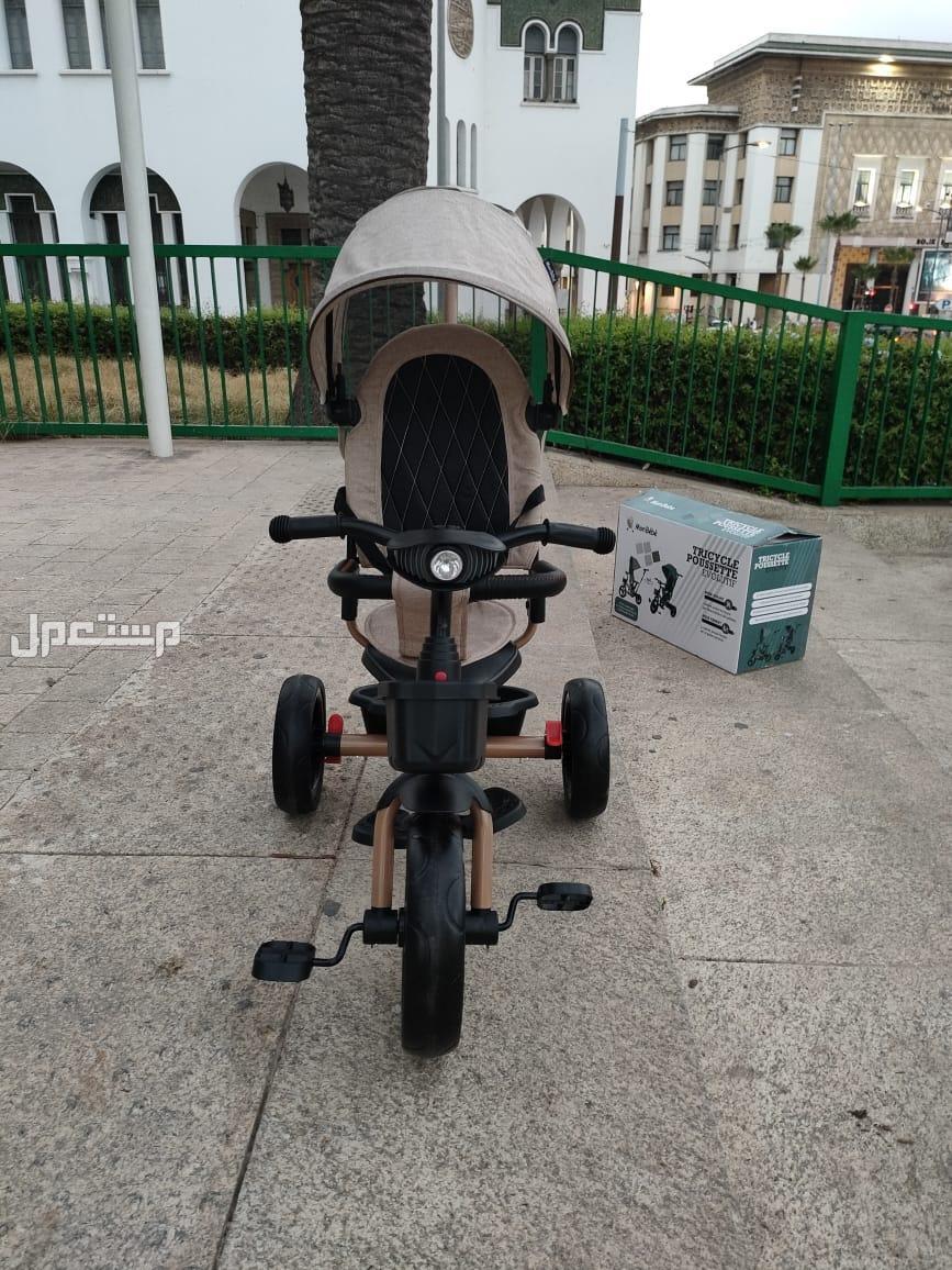 Tricycle harely