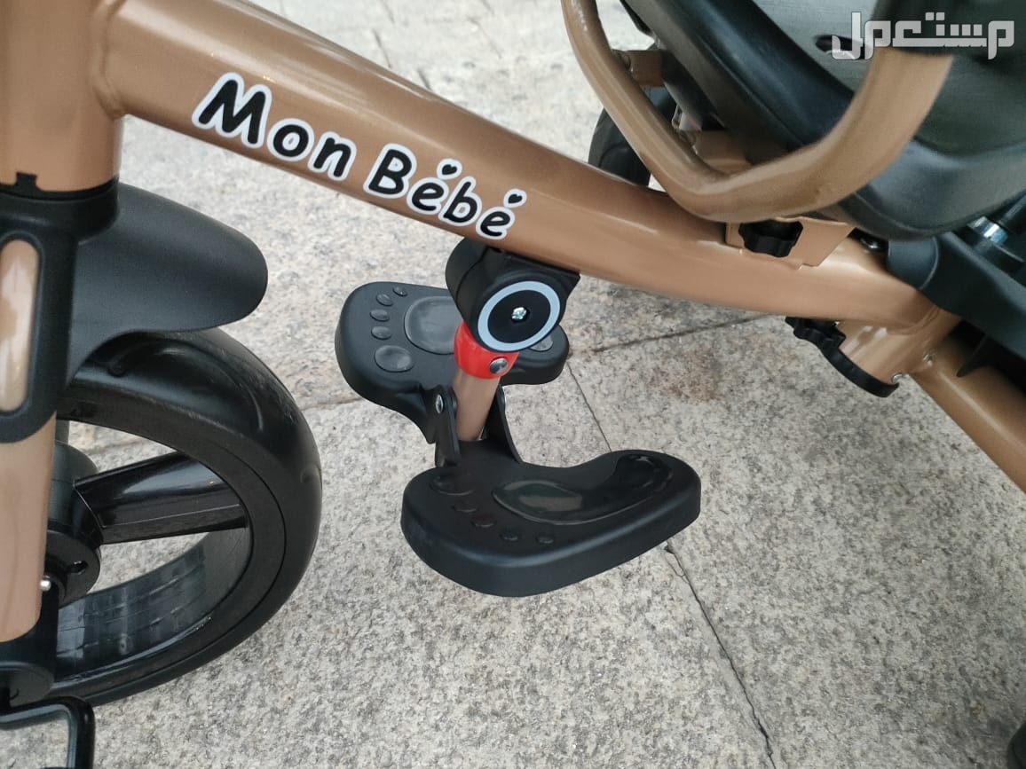 Tricycle harely
