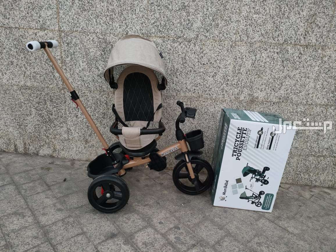 Tricycle harely