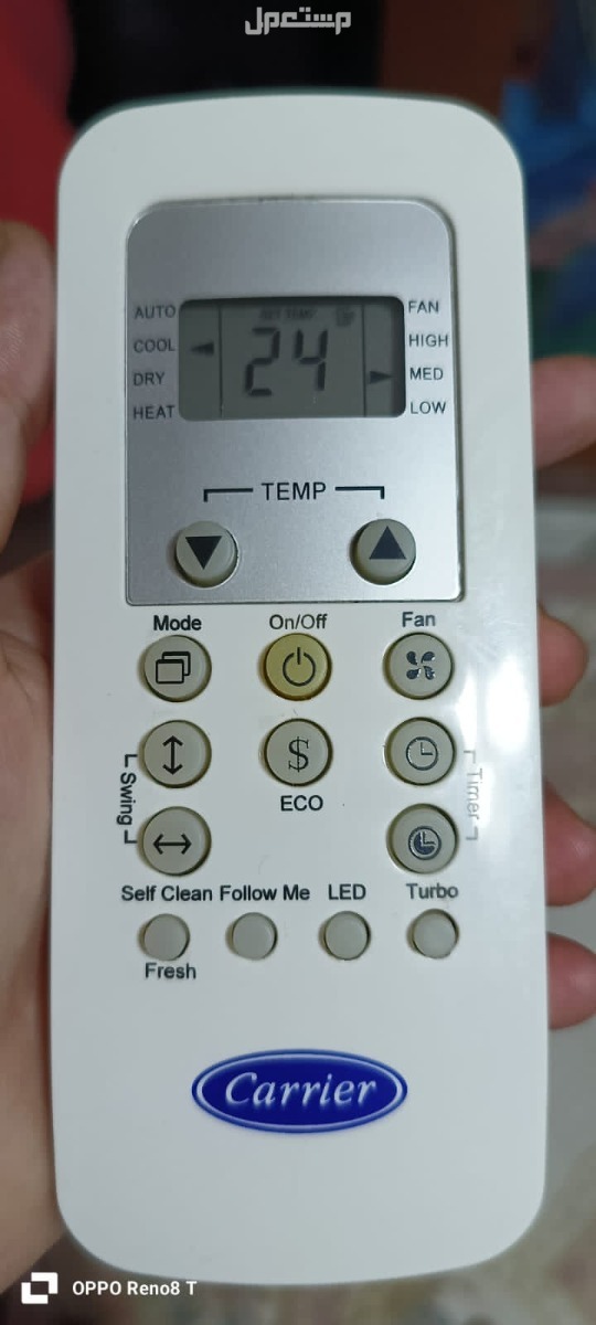 اسكندريه الدخيله