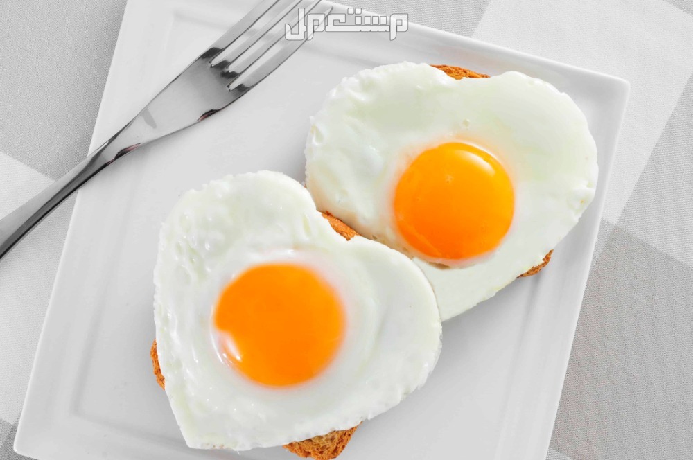 فوائد اكل البيض المسلوق يوميا للأطفال طرق تقديم البيض للأطفال