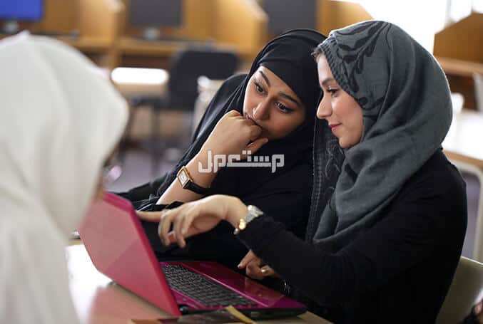 أفضل 5 تطبيقات دراسية للطلاب 2025 أفضل التطبيقات الدراسية لطلاب الجامعات