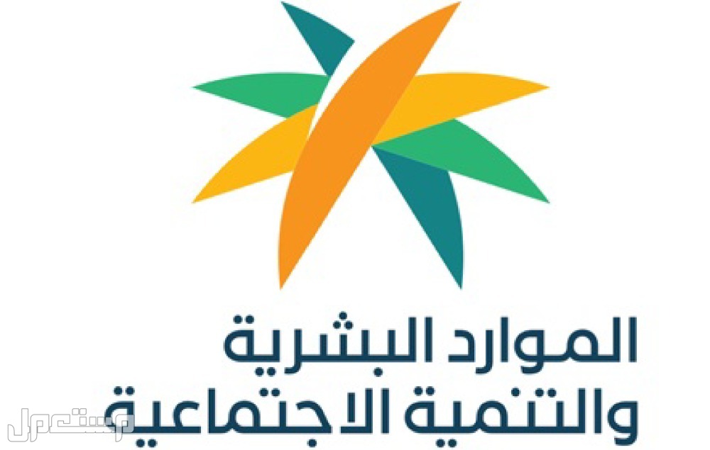 طريقة الاستعلام عن رقم الحدود برقم الجواز 1446 الاستعلام عن بيانات الموظفين الوافدين في المملكة