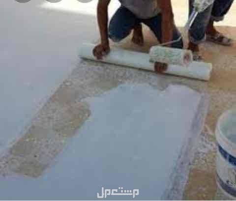 شركه عزل اسطح وخزانات المياه بالمجمعه