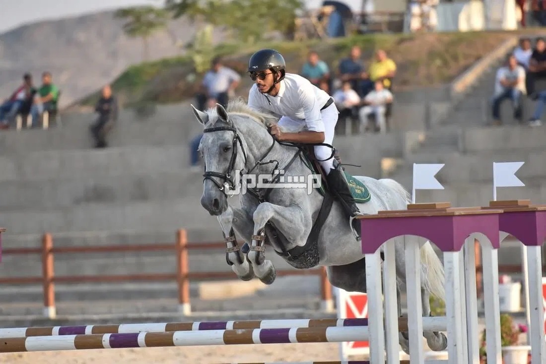 افضل 10 اماكن ركوب الخيل في السعودية لتجربة رائعة افضل اماكن تعلم الفروسية