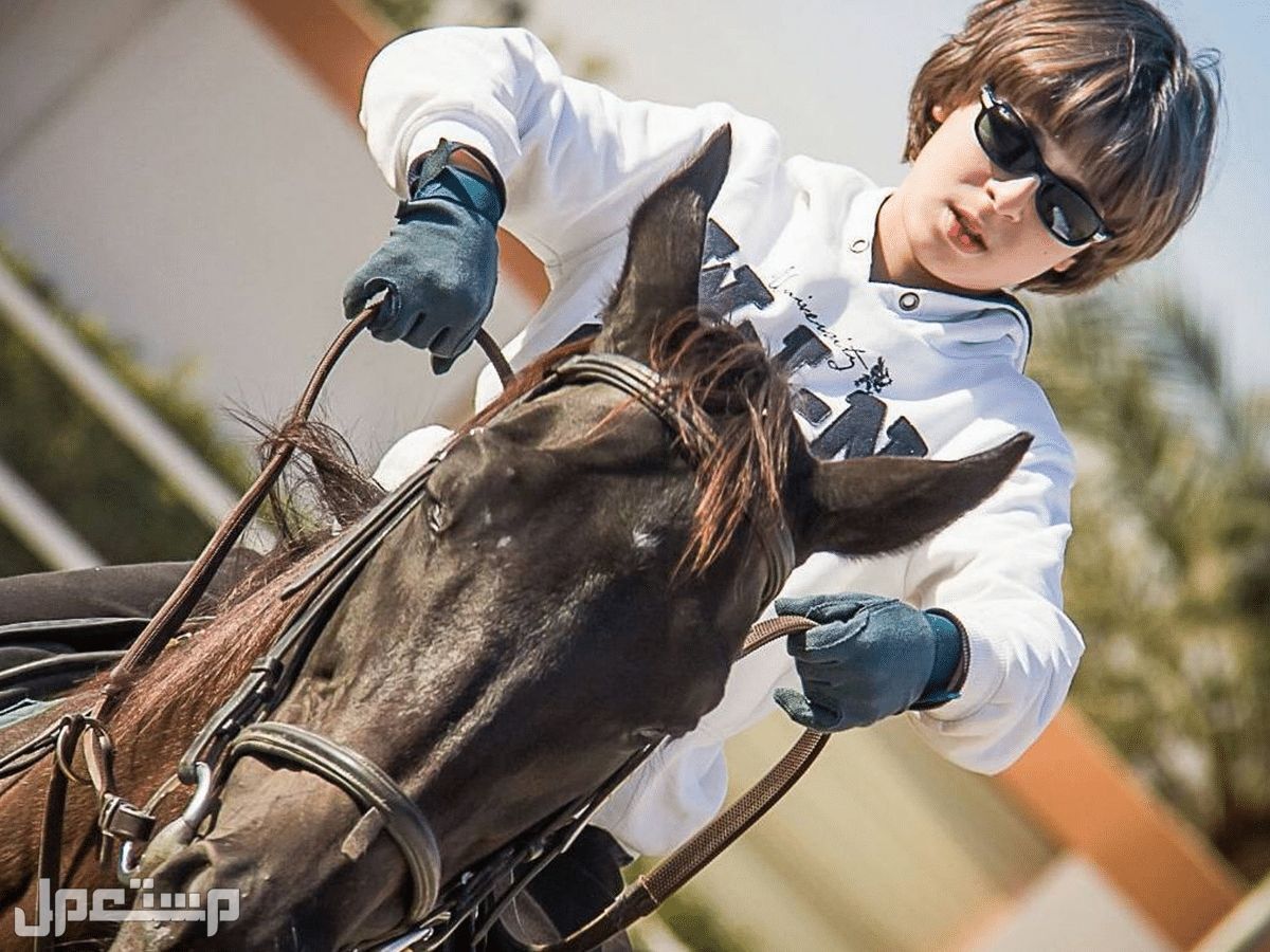 افضل 10 اماكن ركوب الخيل في السعودية لتجربة رائعة أجمل اماكن ركوب الخيل