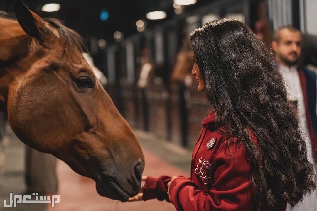 افضل 10 اماكن ركوب الخيل في السعودية لتجربة رائعة افضل اماكن ركوب الخيل