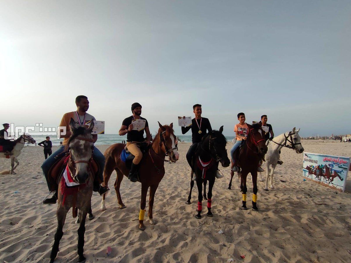 افضل 10 اماكن ركوب الخيل في السعودية لتجربة رائعة أفضل اماكن ركوب الخيل