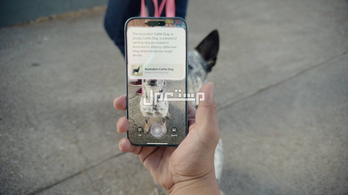 الأسعار الرسمية لهواتف ايفون iPhone 16 بالريال.. كل ما تحتاج معرفته