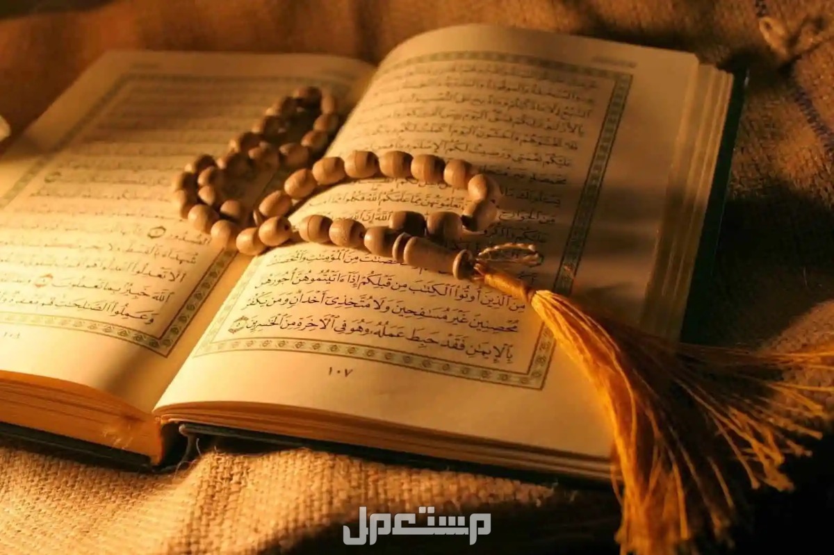 تفسير حلم المصحف في المنام للرجل والمرأة.. ما هي دلالاته؟ تفسير حلم المصحف في المنام للرجل والمرأة.. ما هي دلالاته؟