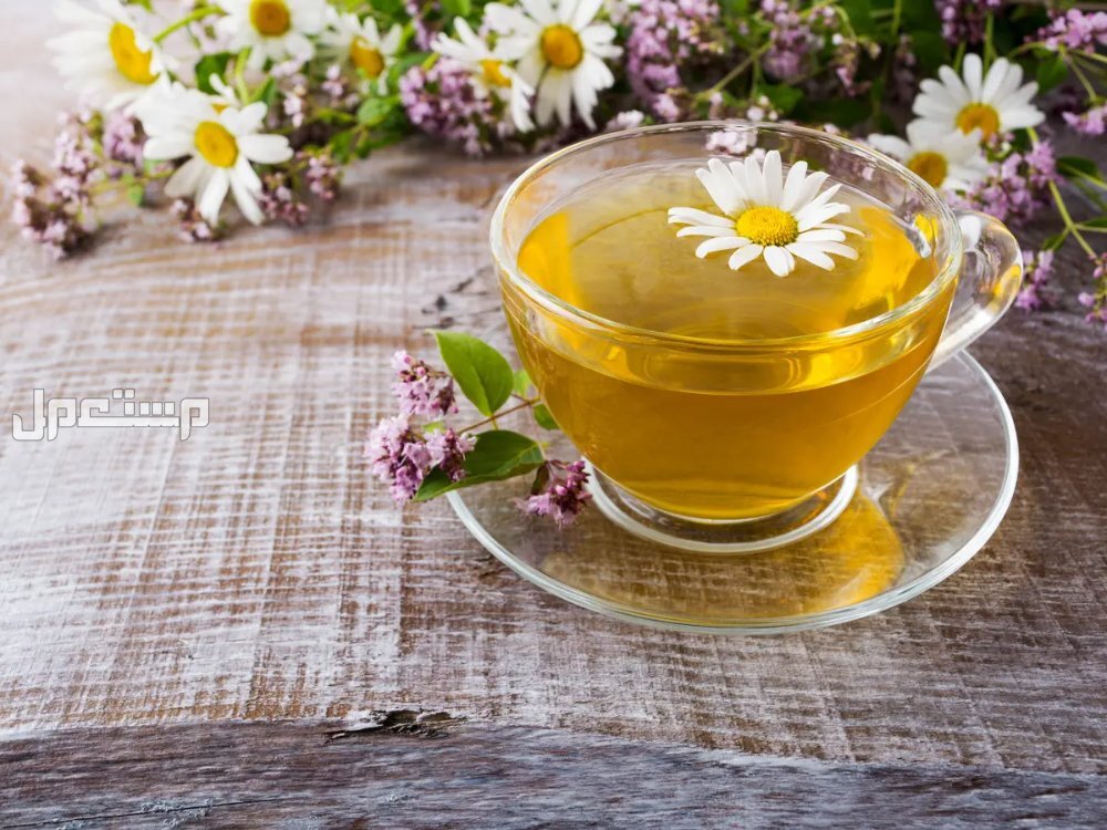 افضل اعشاب تساعد على النوم البابونج