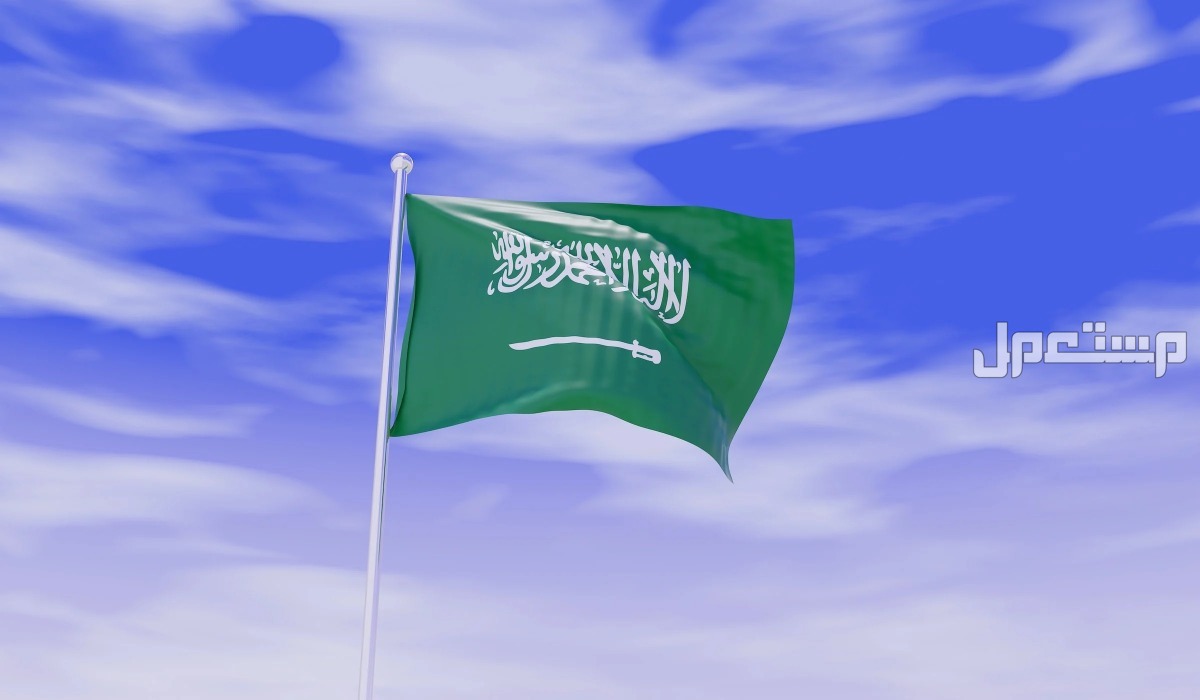 5 أنشطة مدرسية في اليوم الوطني 94 .. أفكار مميزة للاحتفال اليوم الوطني 94