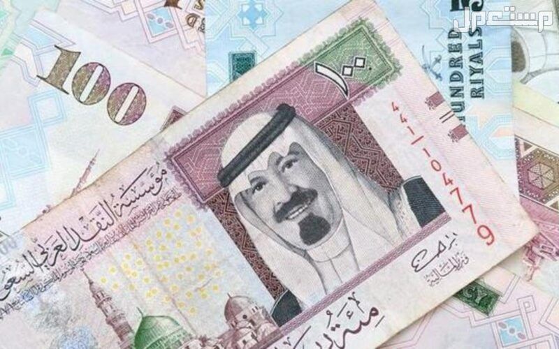 خطوات احتساب معاش الضمان الاجتماعي 1446.. بأمثلة توضيحية في السعودية طريقة  احتساب معاش الضمان الاجتماعي 2024