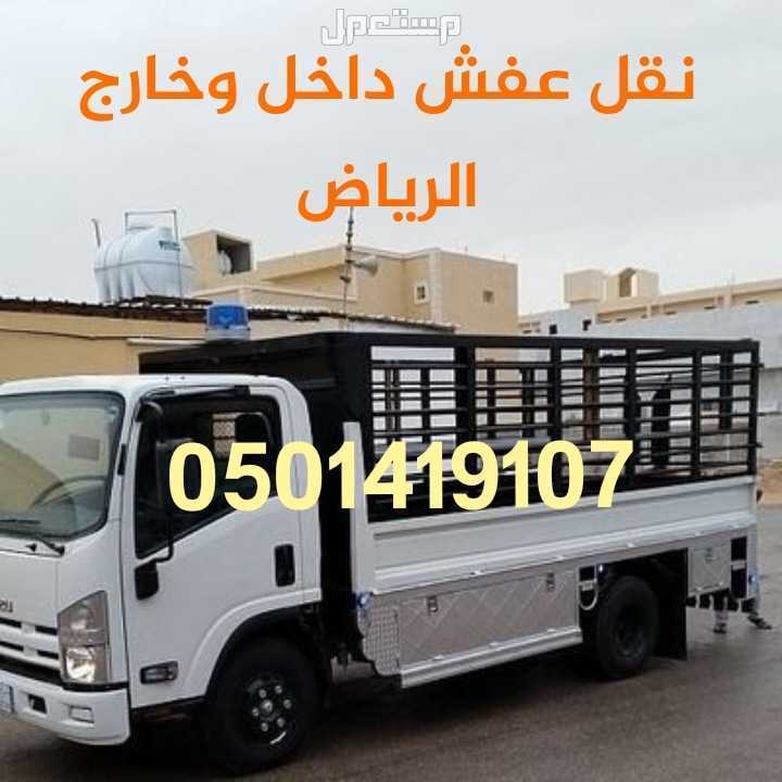 وانيت نقل الاثاث  حي الربيع حي الصحافة حي النخيل