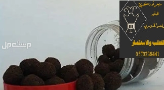 معمول دوسري درجة اولى